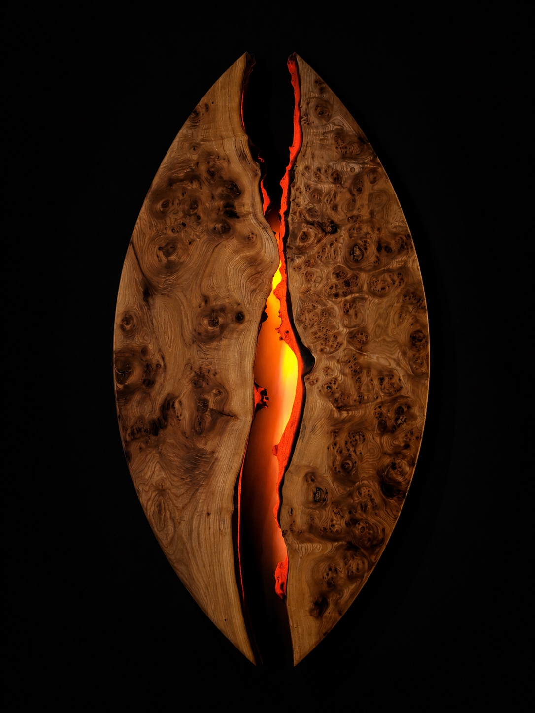 Seed